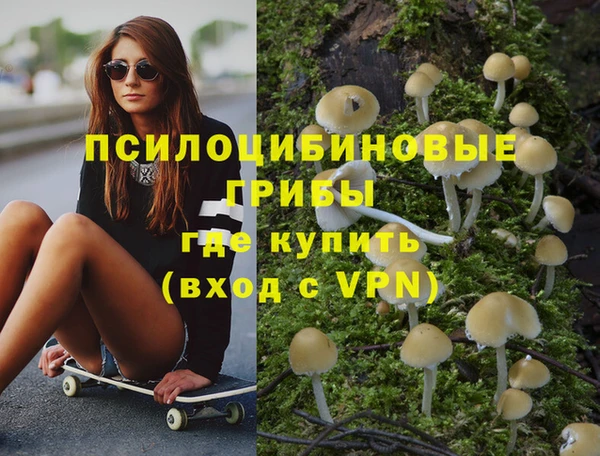 метадон Богородск