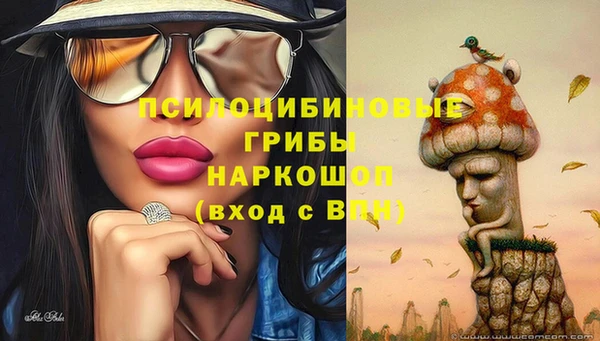 jwh Богданович