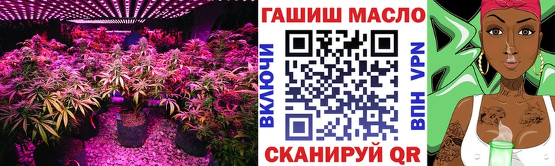 наркошоп  Среднеуральск  блэк спрут зеркало  ТГК THC oil 