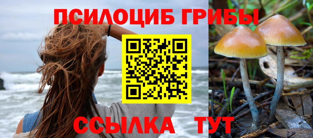 купить наркотик  Псилоцибиновые грибы мицелий  Псилоцибиновые грибы Magic Shrooms  Вход с VPN  Среднеуральск 